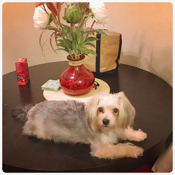 Meet your Posher, Maryann - Picture 4 of 5